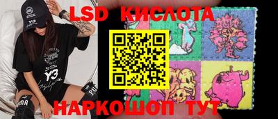 мдпв Камышлов